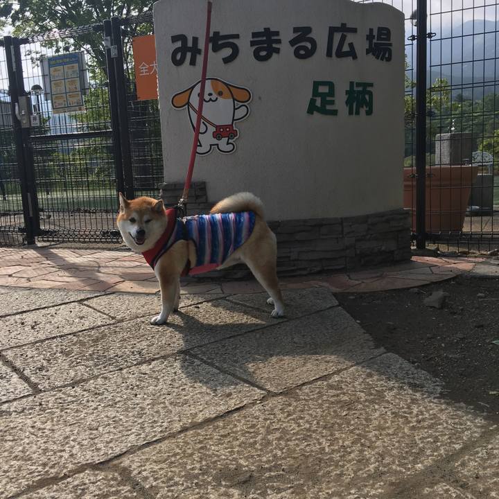 F52662f6 4719 4289 a680 c7999b7511b2 1620515843306