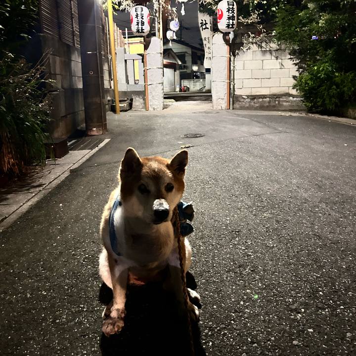 F52664d2 2d0a 4e3a be20 f8a17e6678df 1759656595156