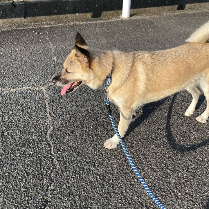 F5269c06 ac3a 42b2 86de 7c36403b57bc 1661951254719