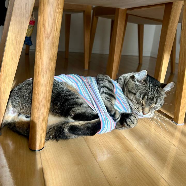 F526e5a3 2218 43d6 bb37 200830b2949a 1767325900903