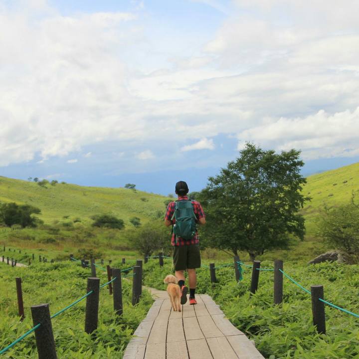 F526f0de 1563 42fe 884b dde196430409 1630412524490