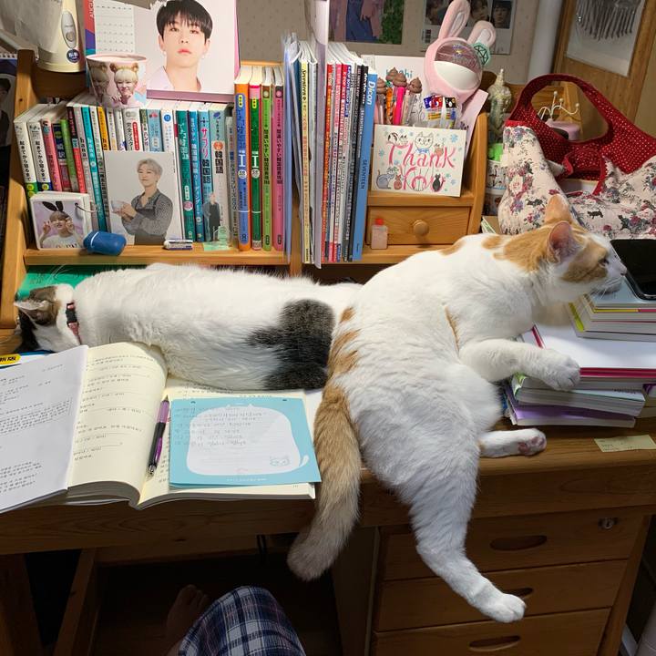 F526f640 4c73 4e92 88ca 294cb5b119dc 1597753218166