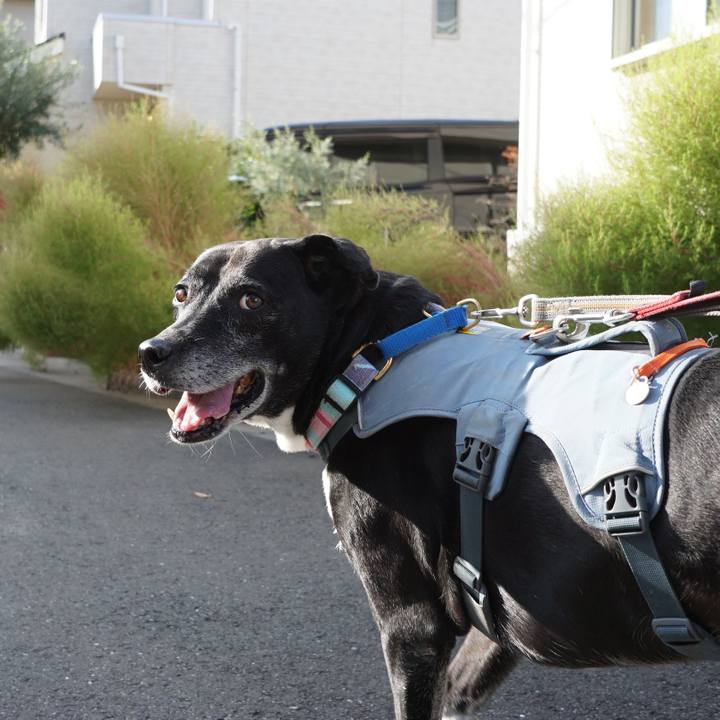 F5271a87 9745 4418 b662 1d4e616f1cc2 1761295434304