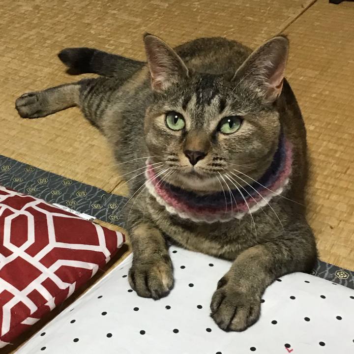 F527590c c077 404a ba9c 5fda679c4b5f 1626428536064