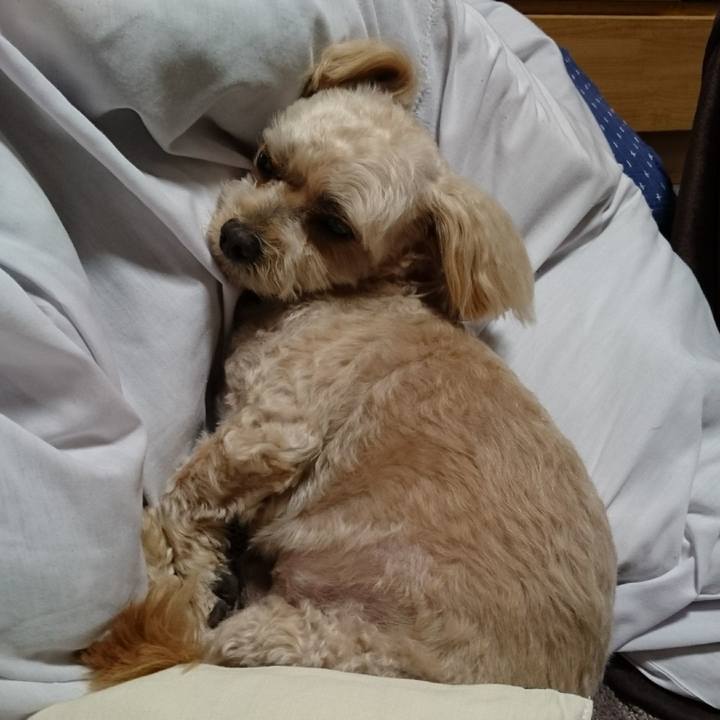 F52766e0 cef8 4078 ac42 82e8879d8ea4 1604415702280