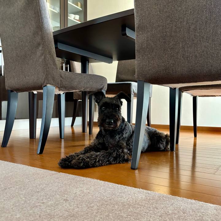 F527b89e a7c5 45c7 8e52 ef9caaa6c879 1747782711663