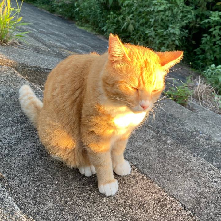 F527cbf8 2a47 44b5 aba1 57411c5bc389 1695382610209