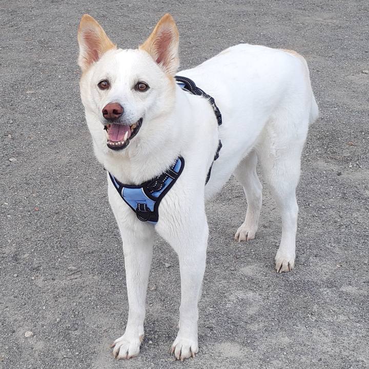 F527df90 938d 4e0e 904f 7dd0da18c050 1677893529637