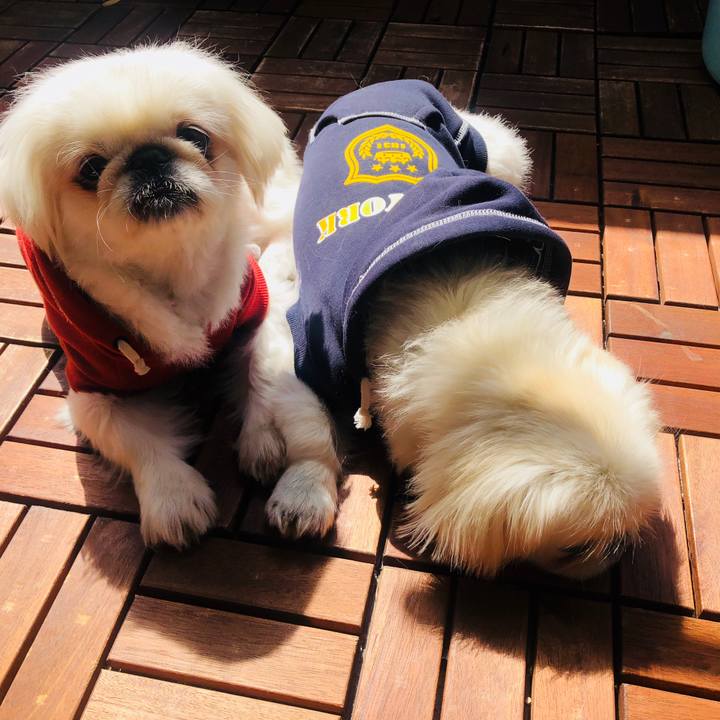 F527ff2f 0602 4504 8be9 faf08598af02 1615429821638