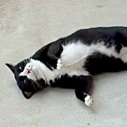 F5280115 45ab 4ffb a39a 967ee8f8658f 1756540677478