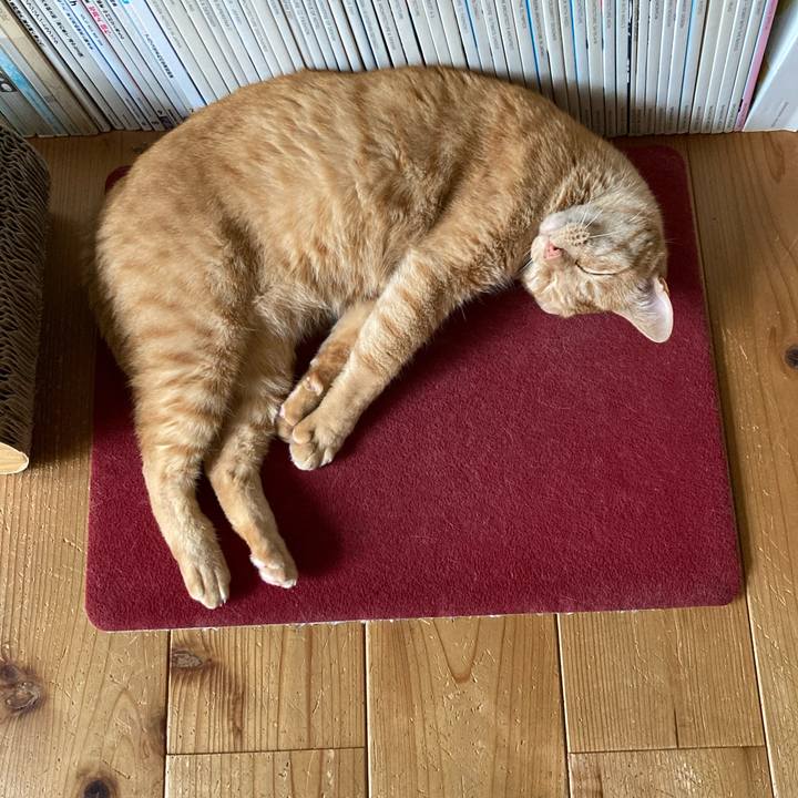 F5280434 933e 4561 af67 79b22f456c20 1658746153794