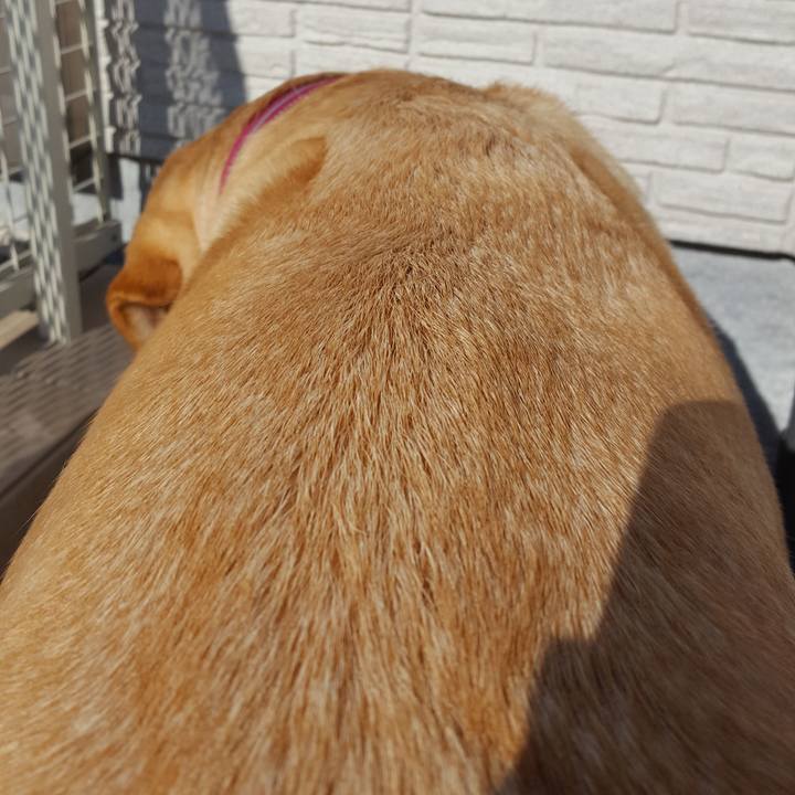 F5284006 72c6 4036 8f10 a22c5949ed04 1513829821299