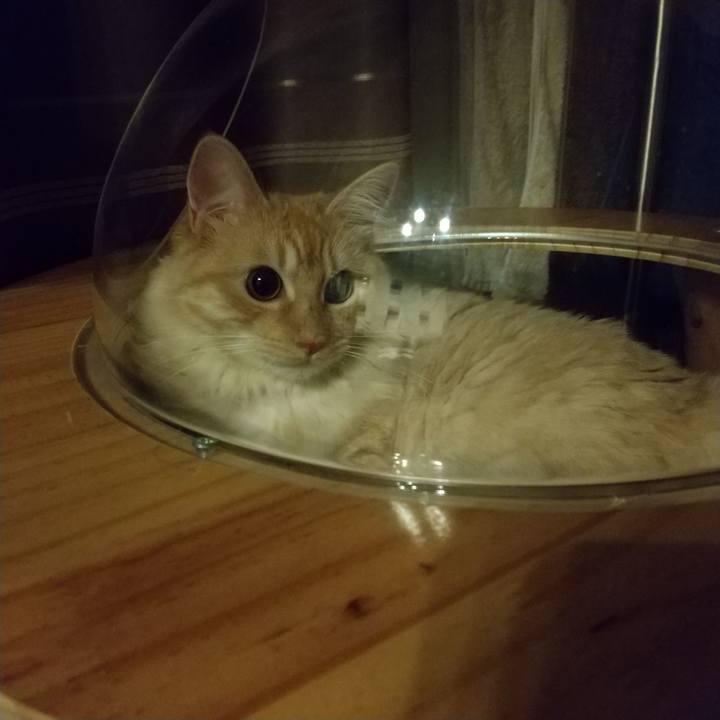 F5288832 5200 4218 b488 54fbe670a606 1626129780198