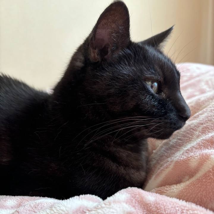 F528e409 fd46 4abb bc7d 448d615c1a78 1702371894842