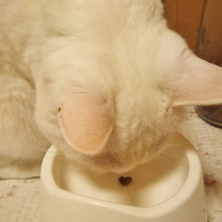 F528e801 20ff 4c5b bffa e4c83f5187e8 1596554658112