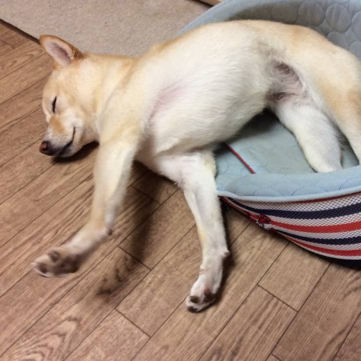 F529124a b603 4c7f 9edd b2a7aa7dd6ee 1535200345506