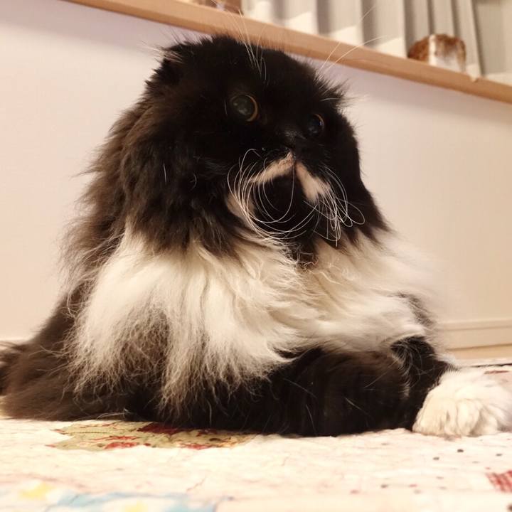 F5291e60 9ab9 4541 8153 8c151ff4032d 1548428006014