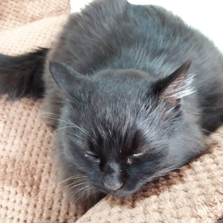 F52945ab 0e1c 4cf3 a742 5d85ba34df65 1519432423869