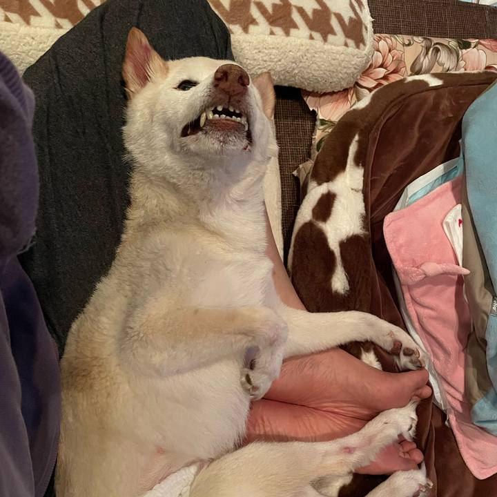 F5295cfc 5900 41f7 9781 b5021bce72e5 1678106064238