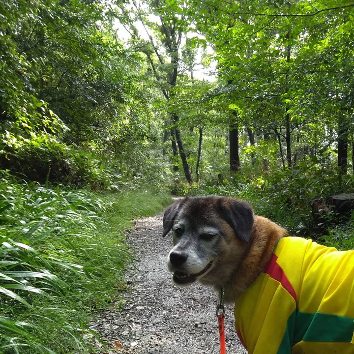 F52969e7 25b7 4c5e 81e2 3732f78e2e36 1570148736570