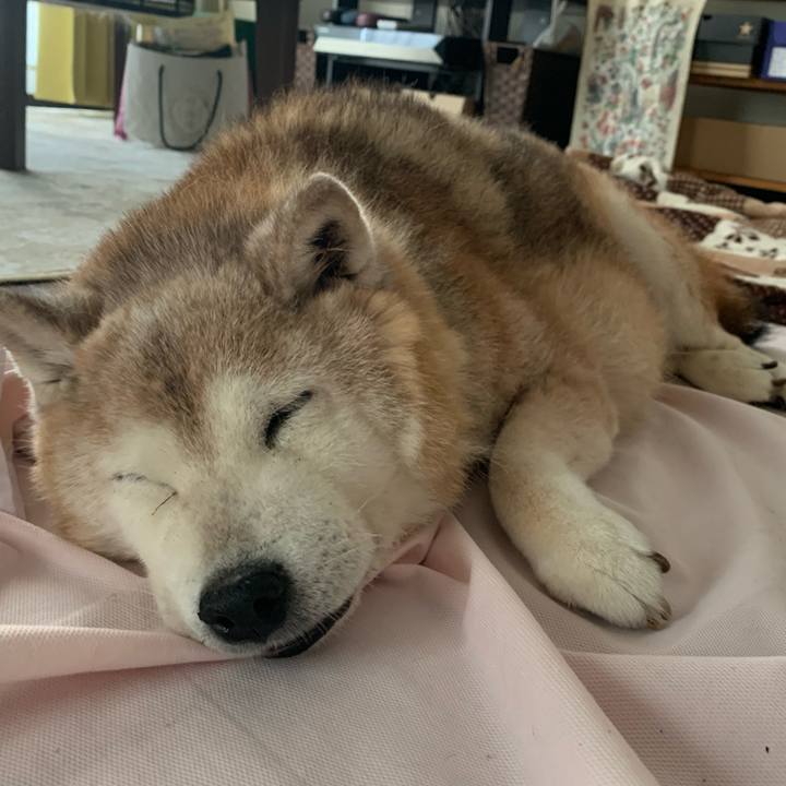 F5297059 0b1f 4ead a967 26b626d91b91 1691386375222