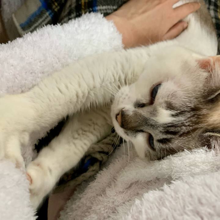 F5298812 030e 46ed 8ef2 809d529f7e1c 1610931471803