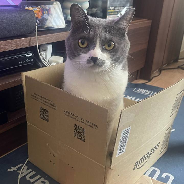 F529a497 03a7 49ba b3a4 07461bf12807 1714261141070