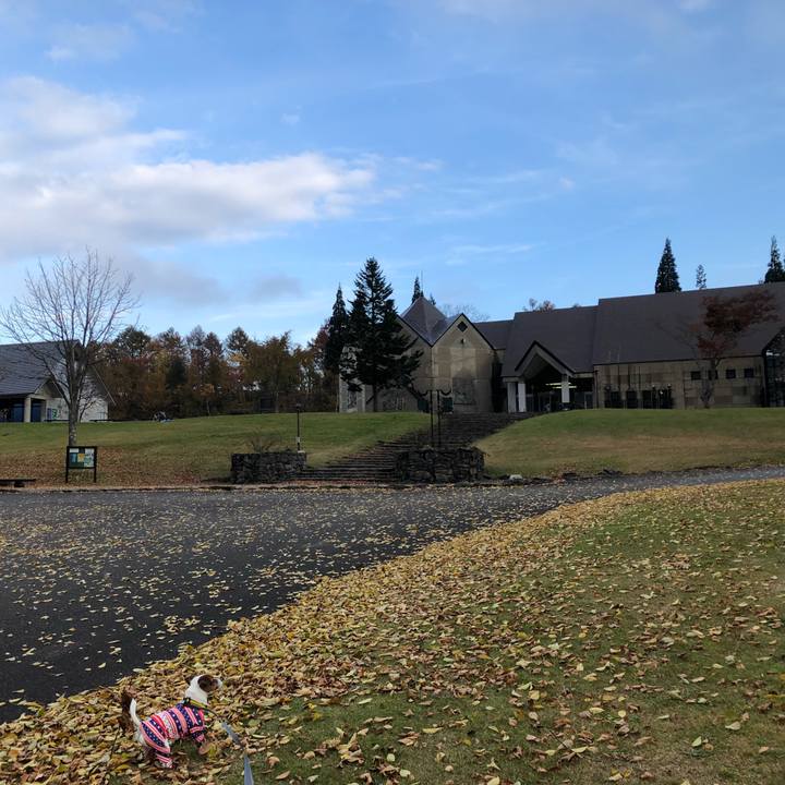 F529d828 2d68 4eab 9d6f 0e577faf6f57 1542191363044