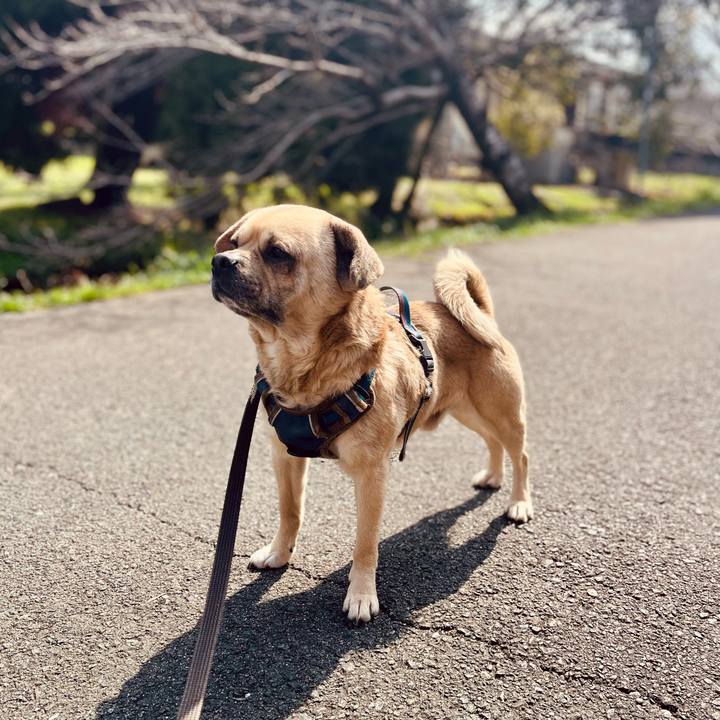 F529db2f f812 450e 8f74 f368db457bb3 1772855096177