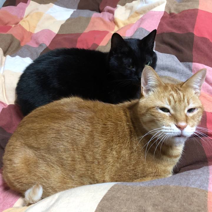 F529f9da 505a 4385 82a8 ce47d2711cb0 1733148204829