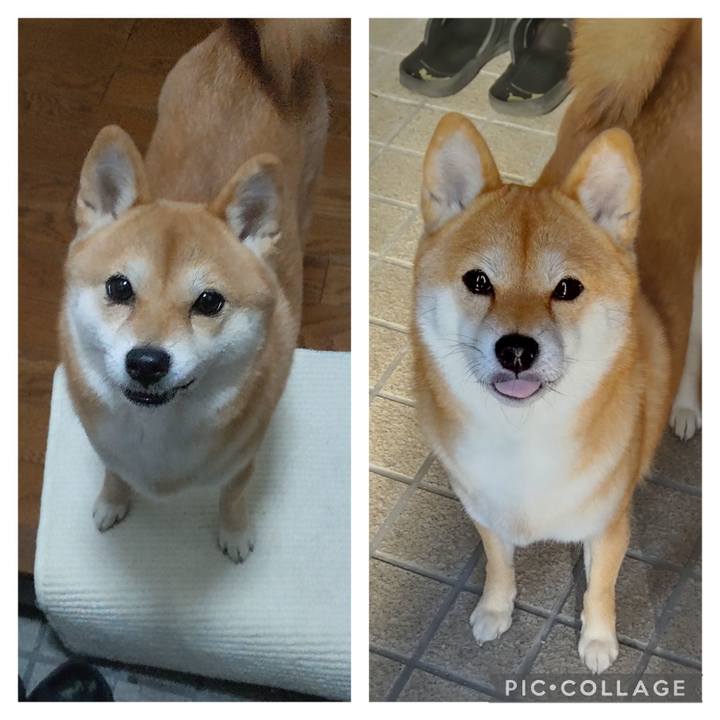 F52a080d 43f1 450b a5dd fae0f755057b 1701688373328