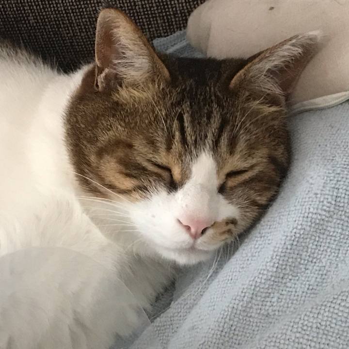 F52a2870 a4f1 48b3 9cfb 43dd4a4666cf 1587440147363