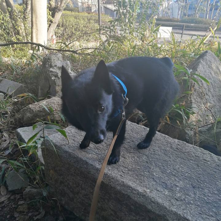 F52a3637 9778 4137 a822 7ef23037ede9 1612656207447