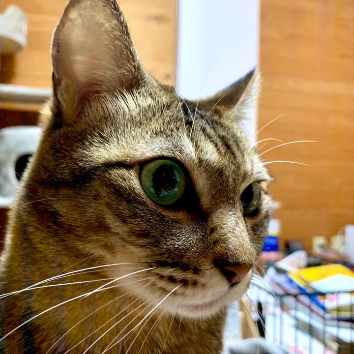 F52a3820 0c59 4113 905b 6e0cbce36327 1579355233333