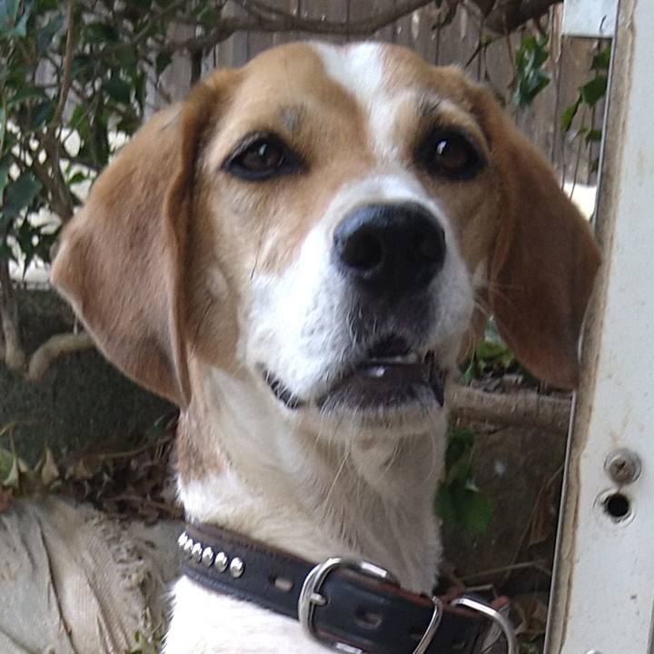 F52a4a00 0899 450c 9c86 c44694b1c921 1660384294042