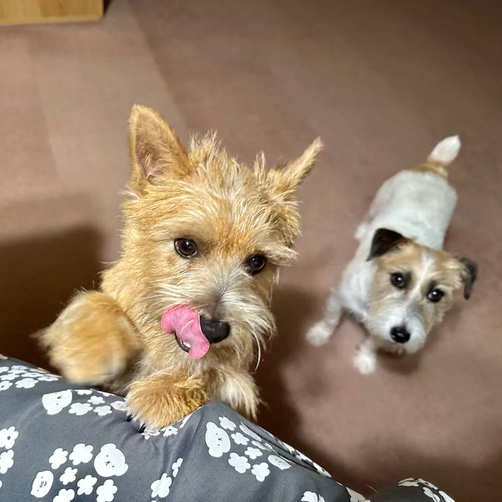 F52a64cb fccd 441e b289 0abc08e00e66 1721390346589