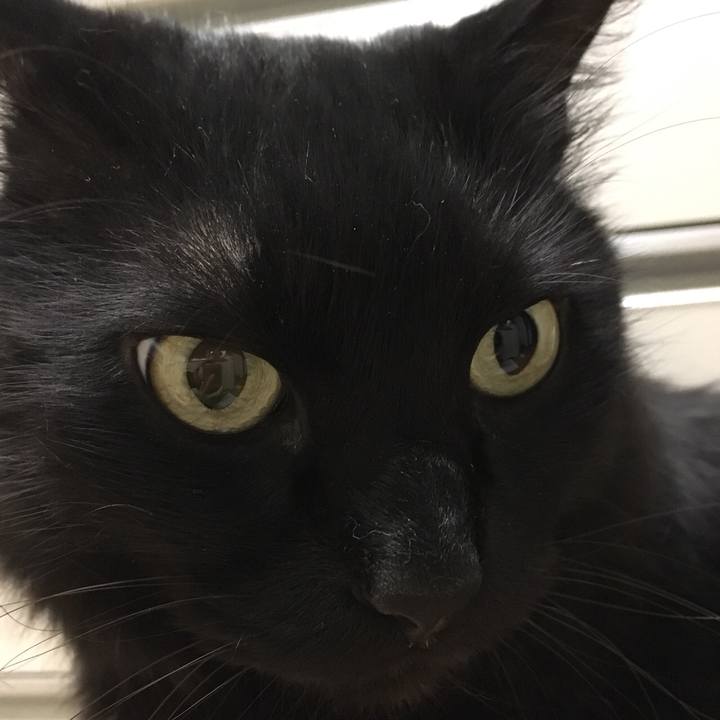 F52a7172 8c1c 401f a5c7 e59693179fbe 1531145128967