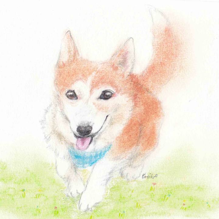 F52a744a b297 4e85 ae71 79a5f5752335 1574346079643