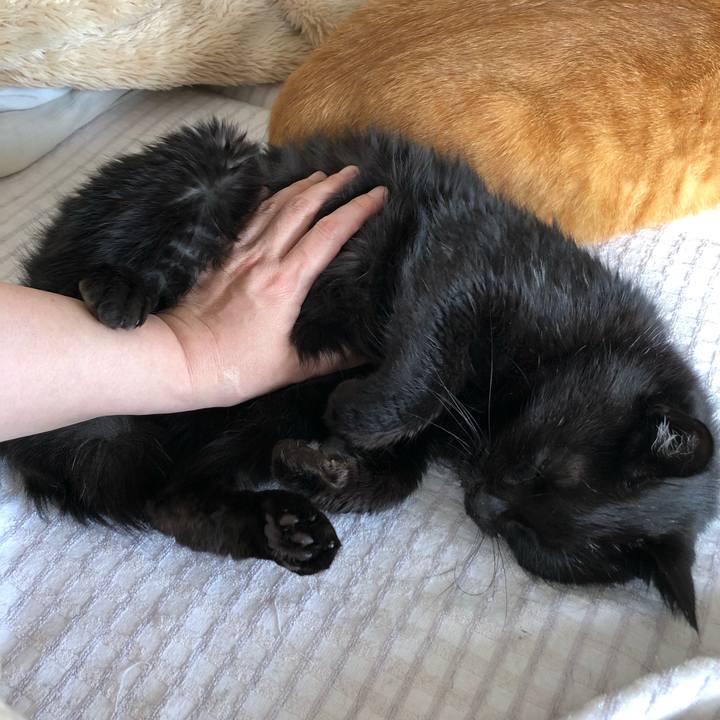 F52abc0c d736 44f9 9c7c 0ce1990dbcd7 1631931795364