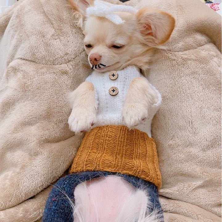 F52ac877 876a 4676 8585 86380b1f06c2 1614673698807