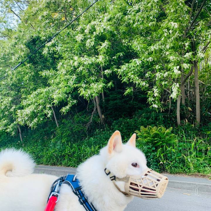 F52b17f6 6ee0 462b a08c ceac4728b640 1654892762993