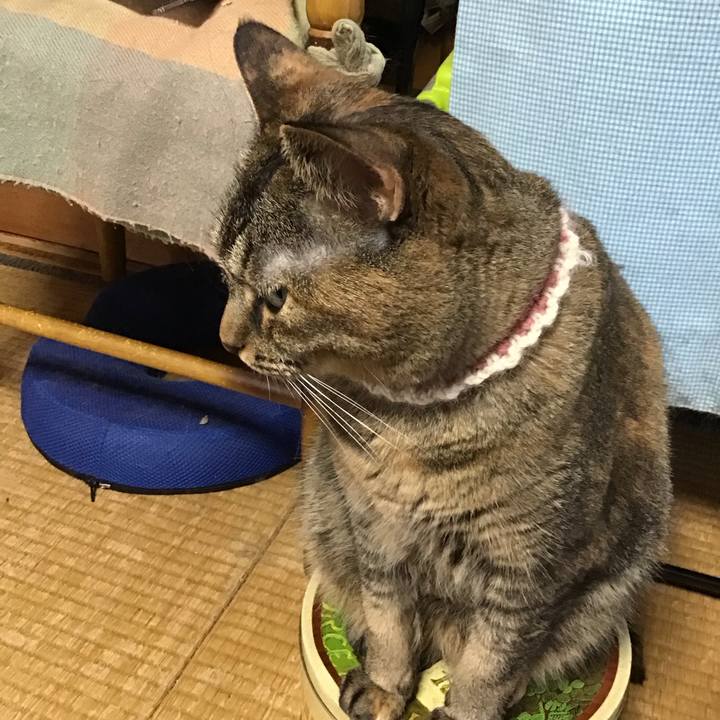 F52b3fb2 b5f7 4316 ab10 01bec90b7006 1723460305790