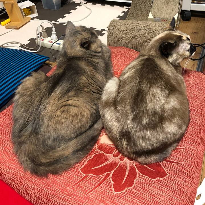 F52b9547 d091 487d 875c 6414f267ba74 1775151515912