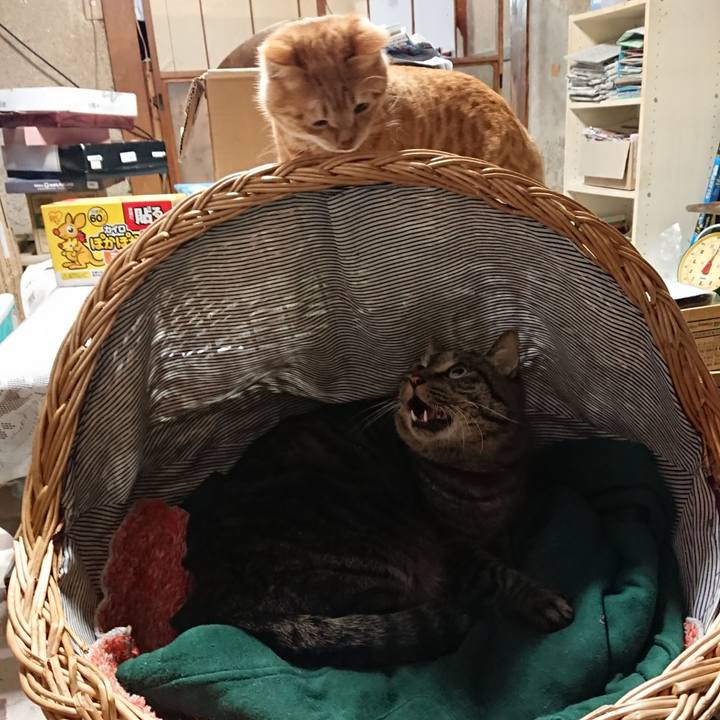 F52bfac7 87c2 45ea 875c eb4b049ff14c 1640602425627