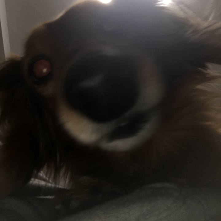 F52c52ab 9338 425a b903 8c7fb7f326b1 1552657459575