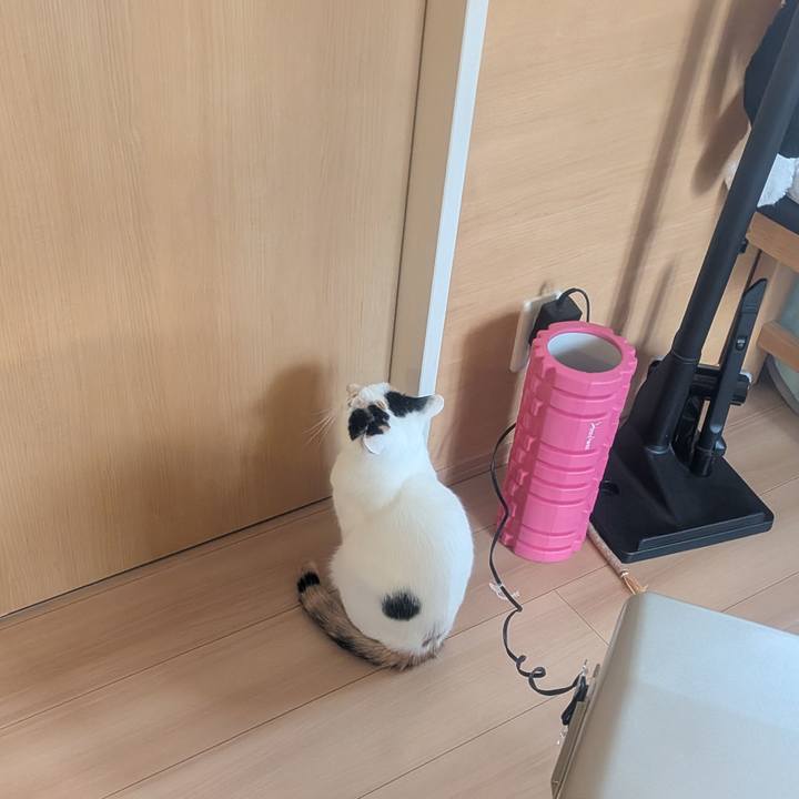 F52c5894 bf22 4a88 9abe 7ff4a6573333 1767142800606