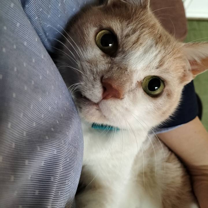 F52c6c7e 0044 40e6 be00 923780bd7e0d 1640730626455