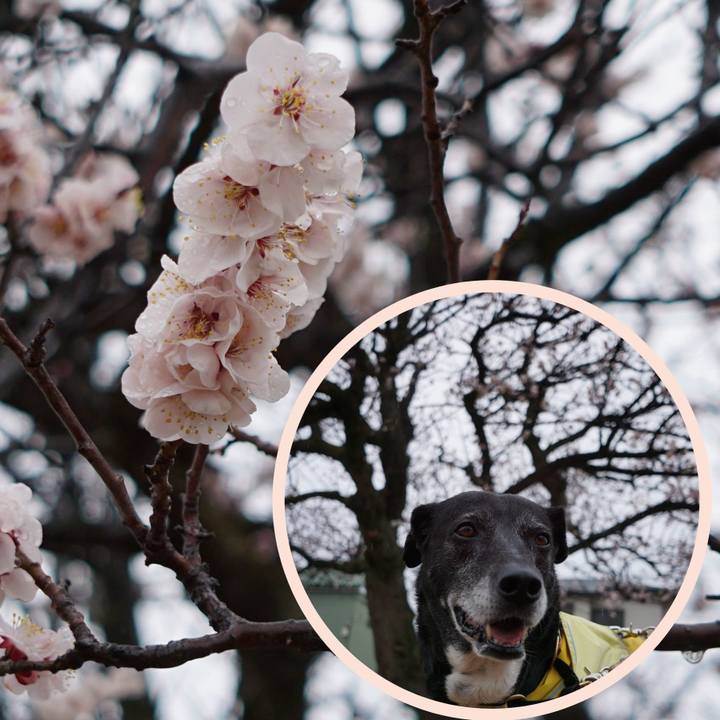 F52c6f47 0b09 4cb6 af77 01dca2dbac55 1771976917952