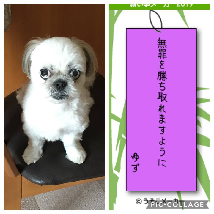 F52cb654 d469 4c20 978e e3316c33733e 1562586901049