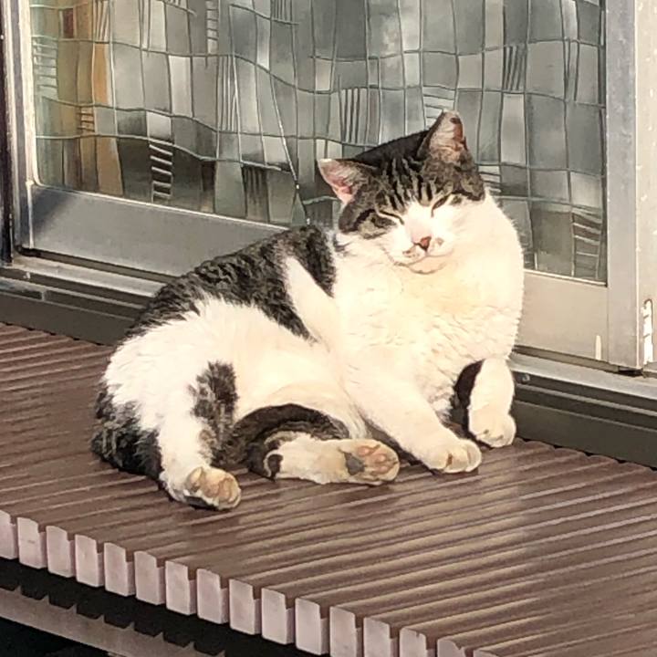 F52cfc6c a95d 40de 875b cd726047582b 1585990909105